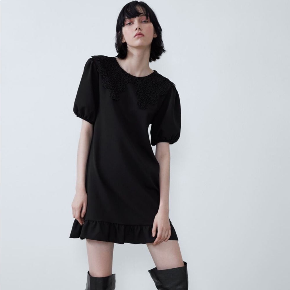 Zara Guipure Collar Dress